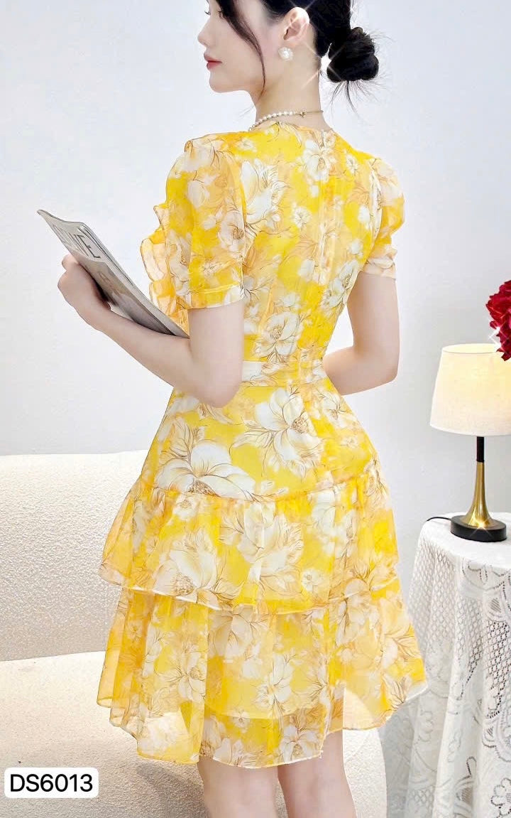 DRESS Ds6013