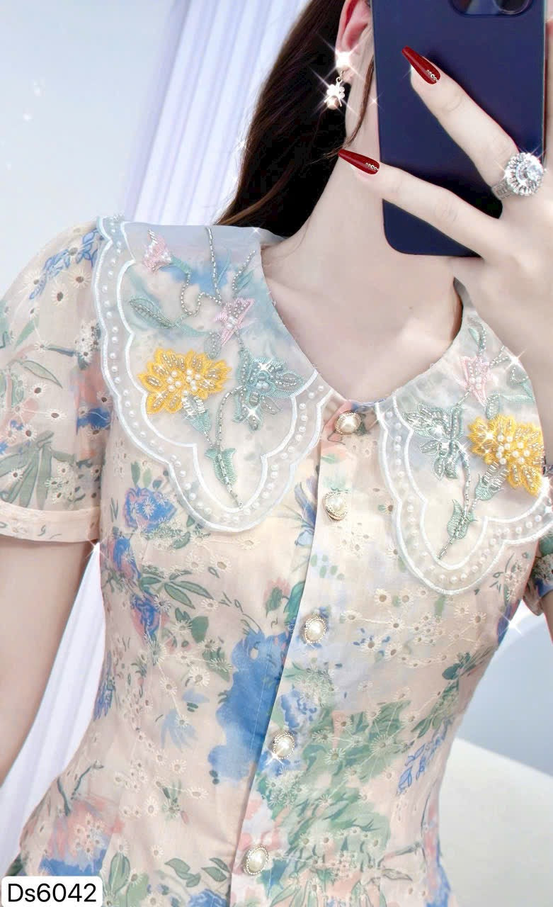 DRESS Ds6042