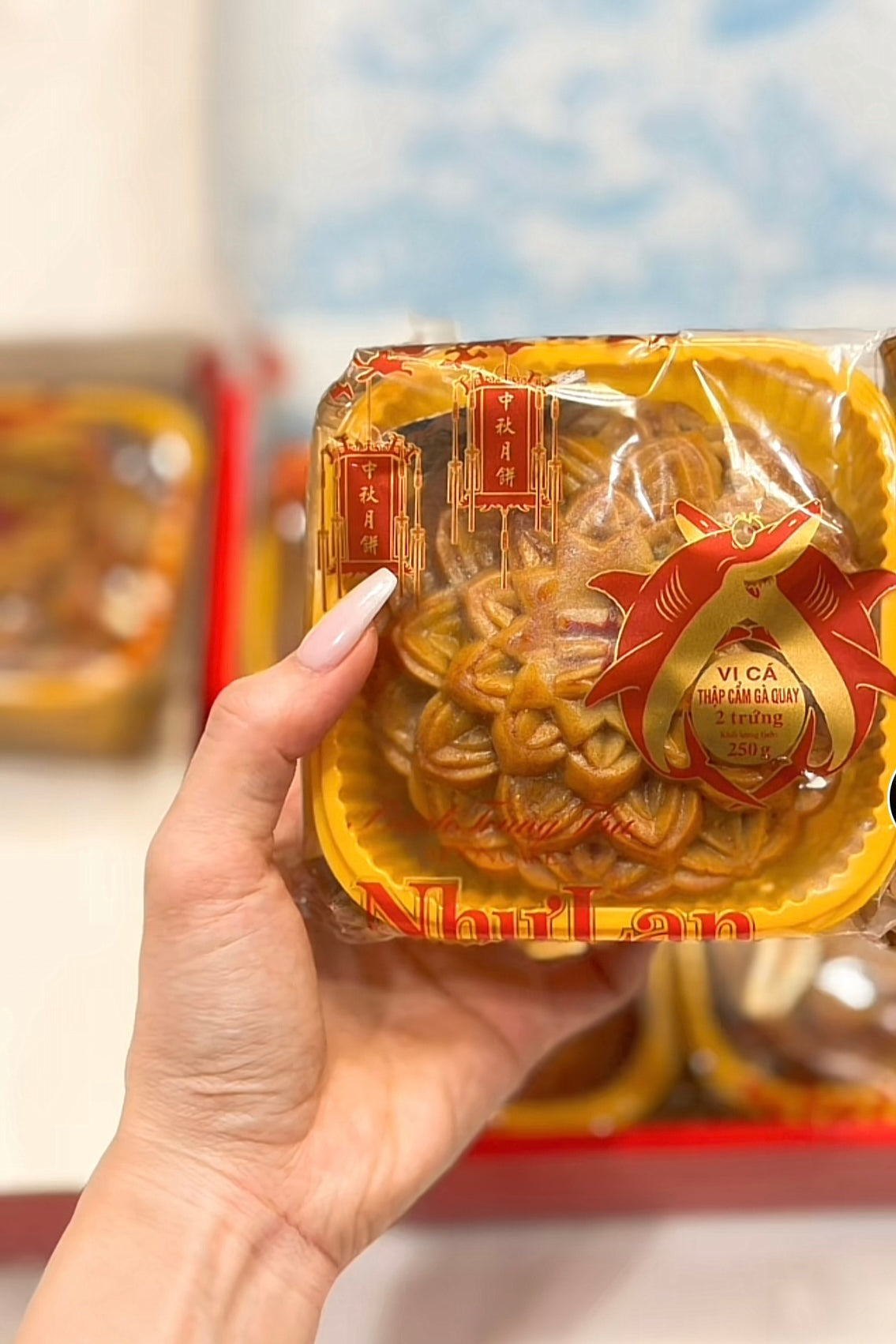 Big Size Mooncake - 300gr/ cake Bánh Trung Thu Như Lan loại đặc biệt size lớn 300gr 2 trứng