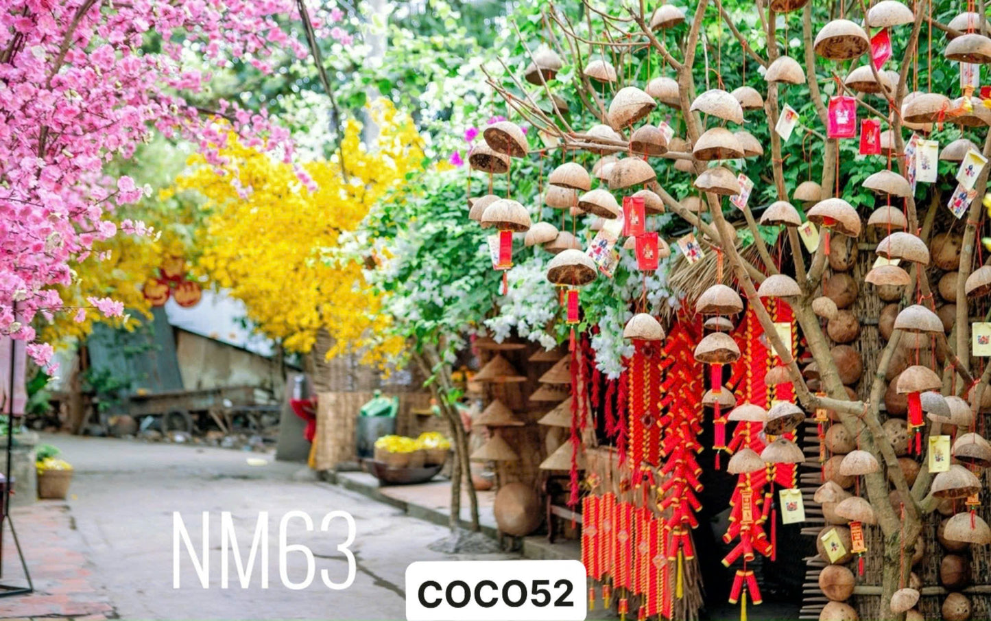 Super High Quality Back Drop. Code (NM63) COCO52