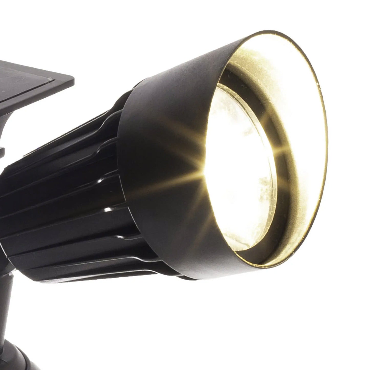 Super Bright Light, 50 Lumens $8.99/pcs (Original Price $19.99)