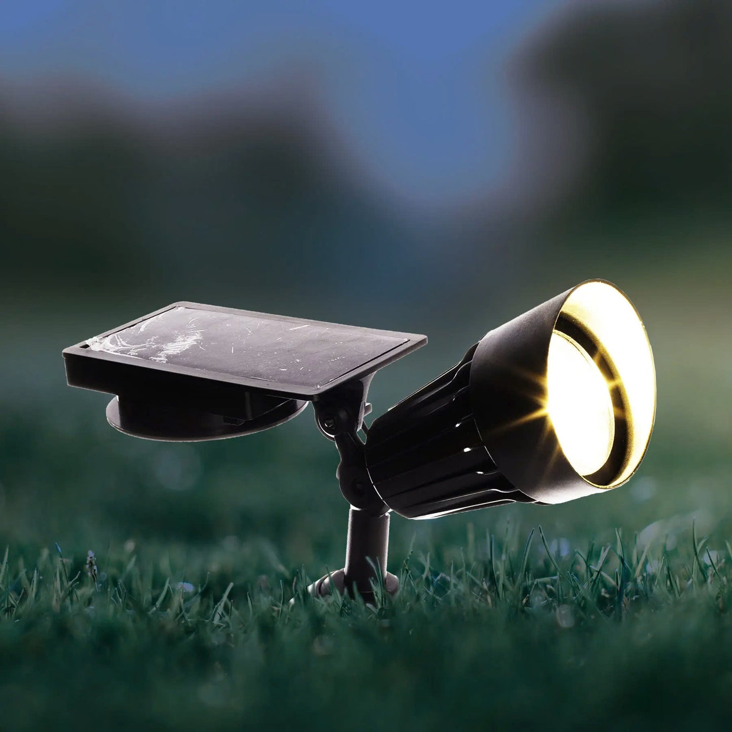 Super Bright Light, 50 Lumens $8.99/pcs (Original Price $19.99)
