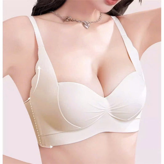 Bra C21 bản to che mỡ lưng