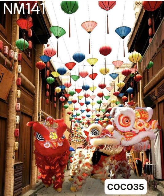 Super High Quality Back Drop. Code (NM141) COCO35