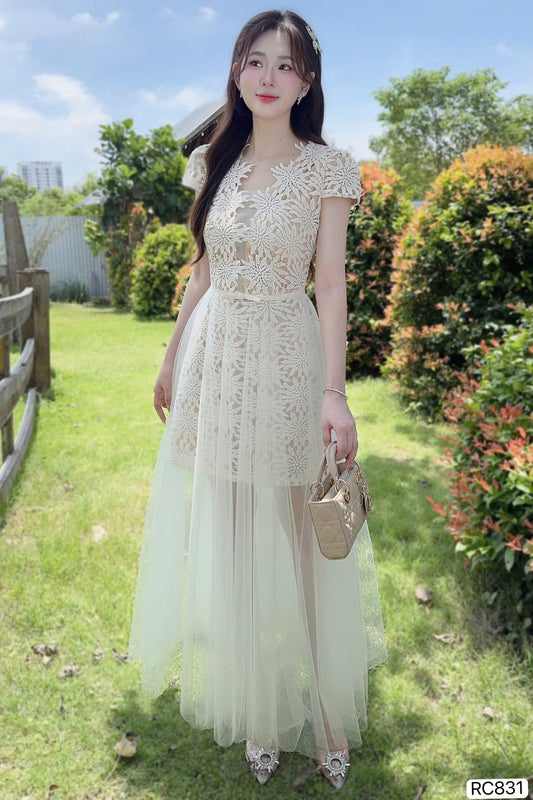 DRESS Rc831