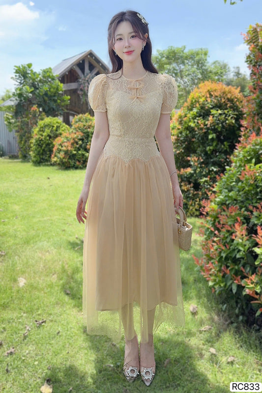 DRESS Rc833