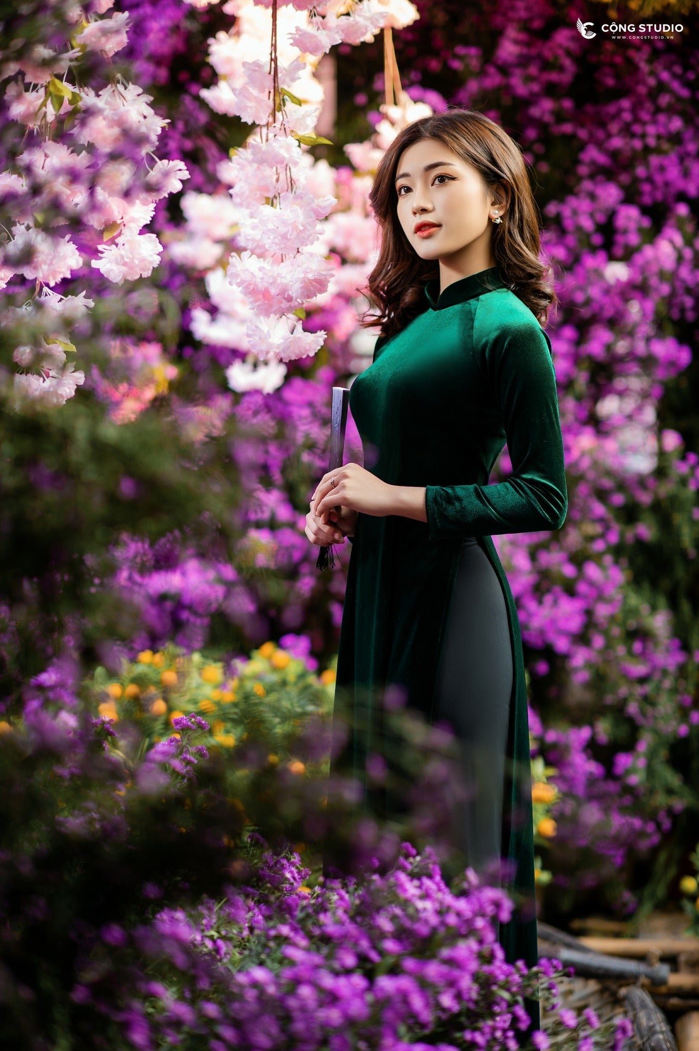 H444 1890 Áo only - Áo dài nhung trơn màu xanh lá đậm