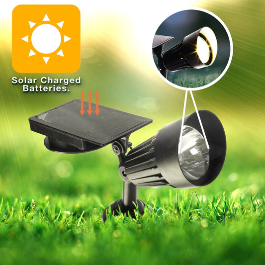 Super Bright Light, 50 Lumens $8.99/pcs (Original Price $19.99)
