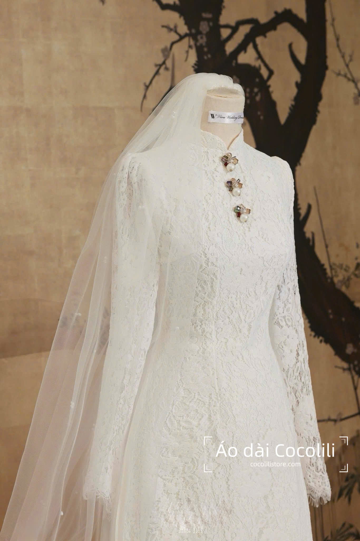 Áo dài nữ có sẵn