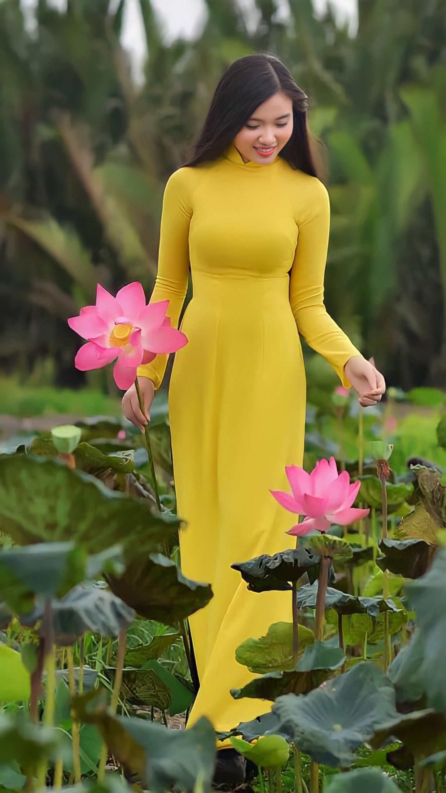 760 shipnhanh Áo + quần - Áo dài lụa chiffon 4 tà màu vàng - Cocolilistore